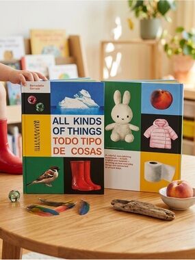 All Kinds of Things Bilingual Board Book - Colorful Green/Blue Cover